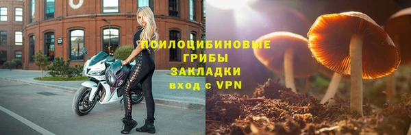 дмт Медвежьегорск