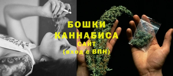 стаф Мегион