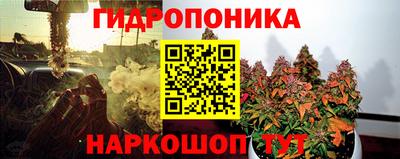 ГАЛЛЮЦИНОГЕННЫЕ ГРИБЫ Партизанск