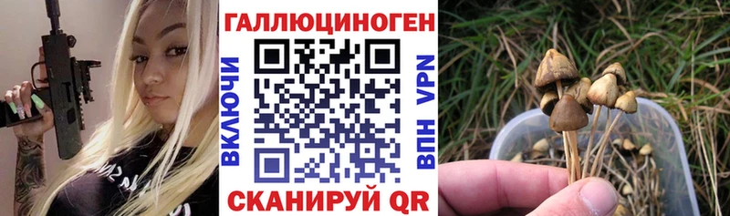 цены Можайск Галлюциногенные грибы Psilocybe