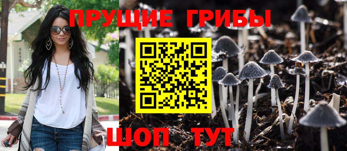 даркнет сайт  Вход с VPN  Можайск  Псилоцибиновые грибы мицелий 
