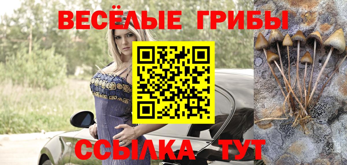 Псилоцибиновые грибы мицелий Можайск